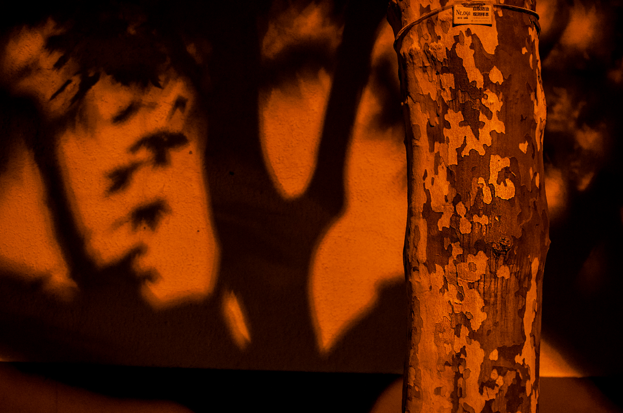 Lighting and Shadow